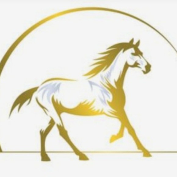 Meet your Posher, Puppy - Picture 1 of 1